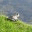 ellertrails.wordpress.com