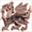 cwsellors.clogau.co.uk