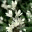 fengshuituin.wordpress.com