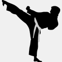 femexkarate.com