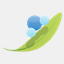 pdpfirm.com