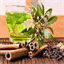teacleanse.co.uk