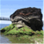 bellinghambayblog.com