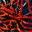 redditto.wordpress.com