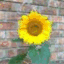 inspiredabundance.com