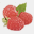 raspberryketones.nl