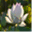davidbuffington.net
