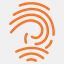 pacificfiresecurity.com