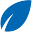 blueleaf.com.au