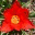 a2changeblog.wordpress.com