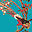 neverbird.com