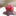 divachocolatefactory.com