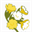 primula.hb.se