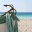 exploringeleanordotwordpressdotcom.wordpress.com