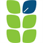 csboard.net