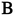 buchwaldt.org