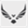 phoenixart.com