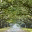 myreflectiveperspective.wordpress.com