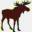 magneticmoose.com