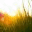 macroworldview.com