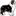 fallcat.net