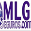 mlgseguros.com