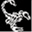 white-scorpions.com