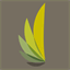 trustvireo.com