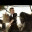 alexallenblog.wordpress.com
