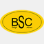 bsczelgli.com