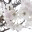 chicalit.wordpress.com