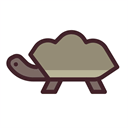 pet-tortoise.com