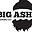 bigashbrewing.com