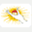 folusz.dps.pl