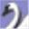 bergenswan.org