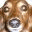 kunipon.com