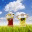 hoadulam.wordpress.com