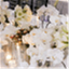 thestudioeventdesign.com