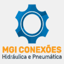 mgiconexoes.com.br