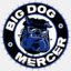 bigdogmercer.com