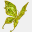 myrtille.net