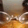 l2ee2l.wordpress.com
