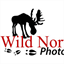 wildnorthphotos.com