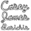 caseyjamesbasichis.com