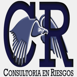 consultoriaenriesgos.com