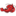 lazylobsterny.com