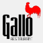 gallorestaurant.com