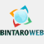 bintaroweb.com