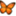 wfciming.com