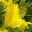 crunchycheetos3.wordpress.com